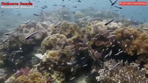 Катаклизмы сегодня ! изменение климата , событие дня , база х , боль земли , пульс земли , катаклиз