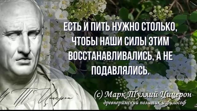 Уроки жизни. Мудрость веков от Цицерона