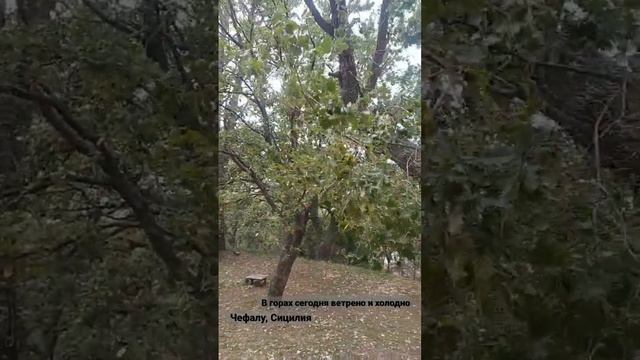 Сицилия Чефалу, Приключения русской в Италии