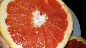 Citrus Grapefruit Sunrise (Star Ruby) / грейпфрут Санрайз (Стар Рубі)