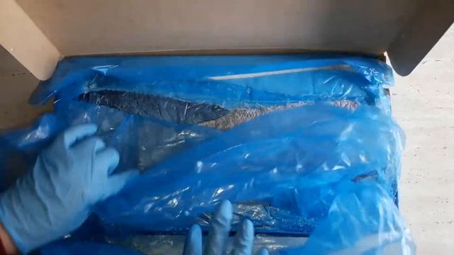 Замороженная рыба - обзор хоки смотреть онлайн