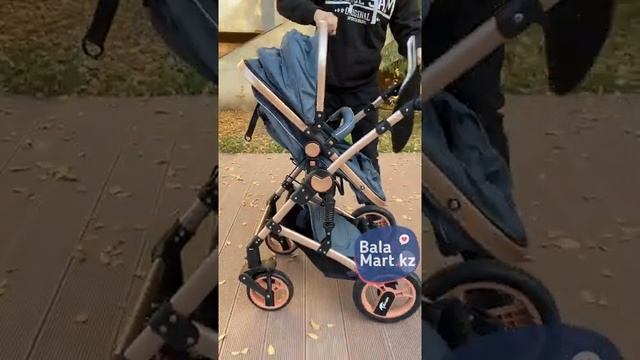 Детская коляска трансформер 2в1 Teknum TK598x2