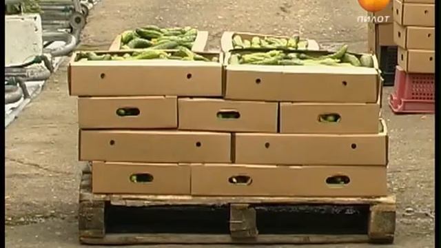 2013-10-03 Синьор Огурец смотреть онлайн