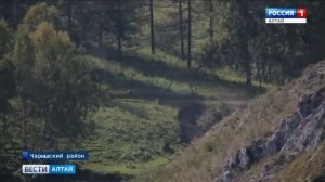 Мараловодческое хозяйство "Сибирь"