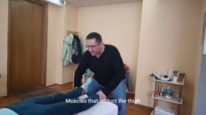 МЫШЕЧНОЕ ТЕСТИРОВАНИЕ/мышцы бедра/ MUSCLE TESTING thigh muscles