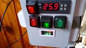 Мойва холодного копчения