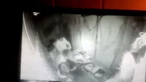 Техаская резня бензопилой 3