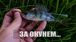 Приехали на озеро и вот как всё вышло!