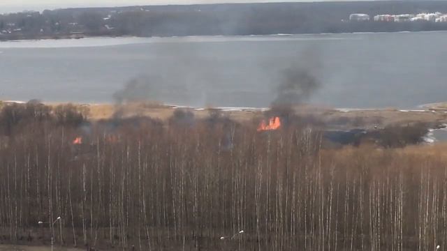 В Санкт-Петербурге горит Юнтоловский заказник смотреть онлайн