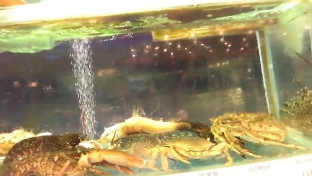 Гуанчжоу, Китайский ресторан морепродуктов
