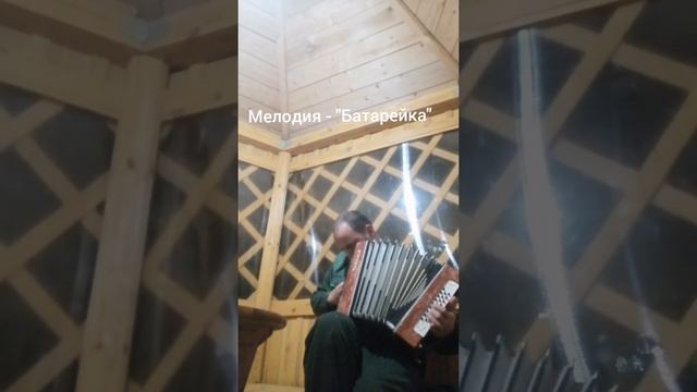 Изучаю понемножку - в свободный часик я гармошку! ? ? смотреть онлайн