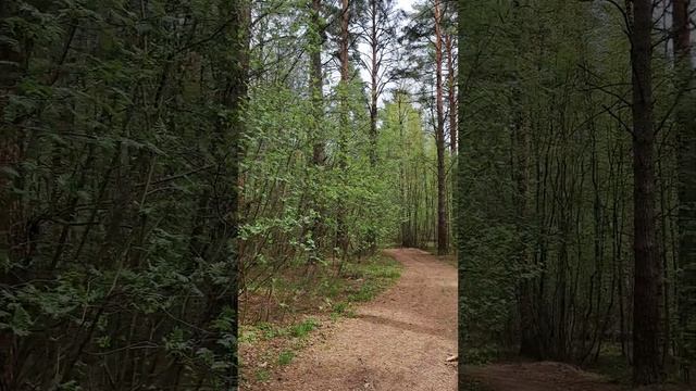 воскресная медитация #тетамедитация #тетахиллинг #тетаисцеление #медитациябесплатно #медитировать