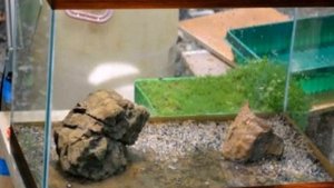 грунт с землёй для аквариума своими руками