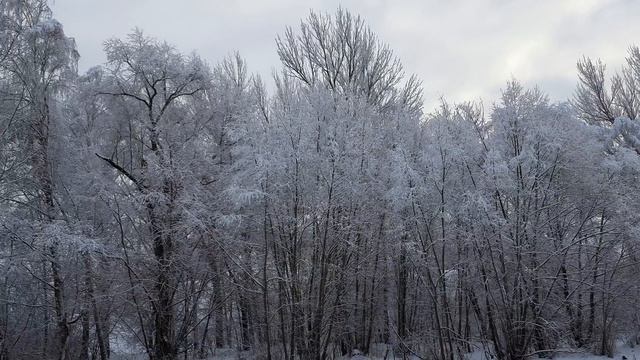 Зимним утром