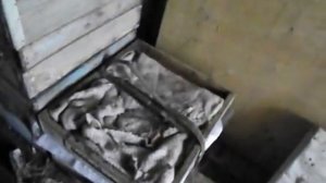 убираю пчел в зимовник в декабре при минус 9 градусах на улице