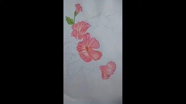 Beautiful Hibiscus drawing_Oil pastel painting смотреть онлайн