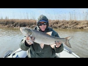 Наша рыбалка в АСТРАХАНИ часть 2. ЖЕРЕХ ЛЮТУЕТ+ БОНУС