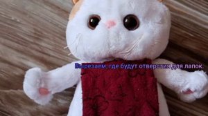 Одежда для кота Басика / Как сделать одежду без шитья / Одежда для Басика на весну и на лето
