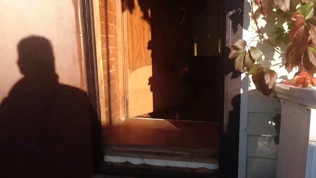 СОБАКА БРОСАЕТСЯ НА БОМЖЕЙ, ЧТО ДЕЛАТЬ? Дрессировка и воспитание ротвейлера