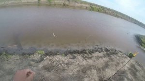 ТОЛЬКО УСПЕВАЙ ВЫТАСКИВАТЬ! ДУШЕВНАЯ РЫБАЛКА ОТЦА С СЫНОМ НА БЕРЕГУ РЕКИ ОМЬ.