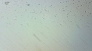 Микроскоп MicroLife ML-12-1.3