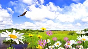 Песня - Только ты моя мама живи #СветдаМарья  #SvetdaMarya