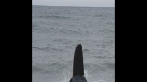 Сновидения и алхимия