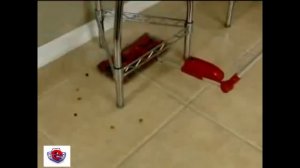 Электровеник