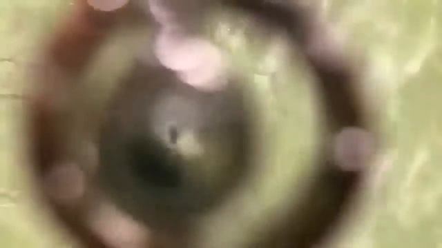 Кулон для девушки Я ЛЮБЛЮ ТЕБЯ НА 100 ЯЗЫКАХ МИРА! Где я покупала. смотреть онлайн