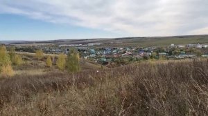 Грибы опята и подготовка к вспашке