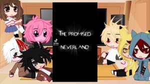 Bnha react to Deku’s past as Ray | AU | part 1/2 | TPNxBNHA | Rayemma/ Tododeku | Spoilers