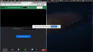 WebRTC screen sharing in Chromium on Void Linux with Sway WM #2