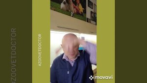 Лайфхак как успокоить и обездвижить кошку #zoovetdoctor #УшаковДмитрий