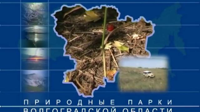 Мирознай - Природа Волгоградской области
