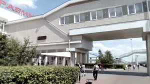 Станция Барабинск. Перед Новосибирском.