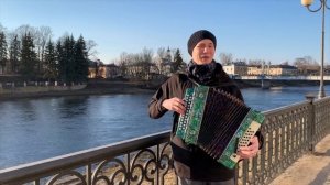 НЕ ВЫБИРАЙ КРАСИВУЮ || на гармони || МУЖИКАМ НА ЗАМЕТКУ || не выбирай красивую под гармонь || ТОРЖО