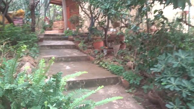 Тайное место в центре Аланьи Как живут в районе крепости АЛАНЬЯ смотреть онлайн