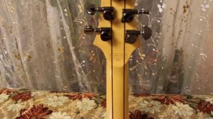 Schecter Banshee 6 Passive Обзор и продажа