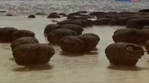 Ступени цивилизации  Австралия   путешествие во времени, 1  На заре времен