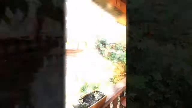 Цигун-тур на Алтай. смотреть онлайн