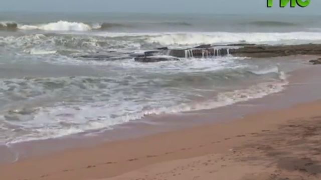 #316 Туризм. Национальные парки и заповедники Шри-Ланки смотреть онлайн