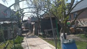 Арка для винограда
