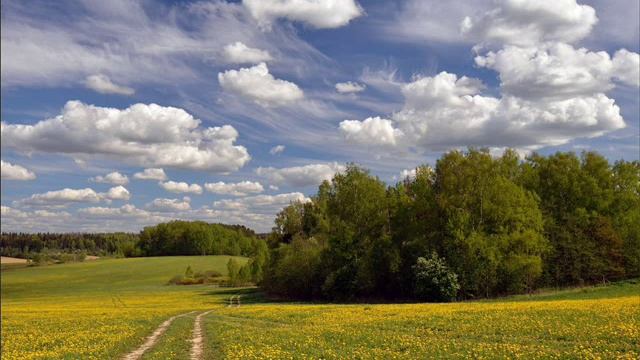 Ярко солнце светит, Суриков Иван смотреть онлайн