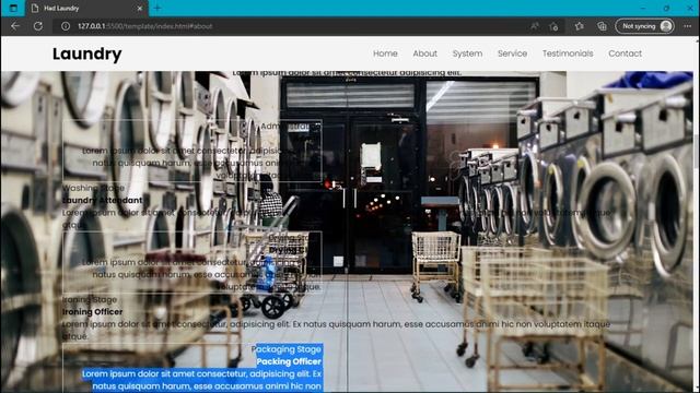 Create a Laundry Website Responsive (HTML, CSS, Java Script) #3 смотреть онлайн