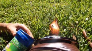 Start a Fire with Coffee and Potato Chip containers Solar vacuum reflector