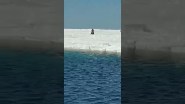 Сахалинец на снегоходе перескочил пятиметровую трещину смотреть онлайн