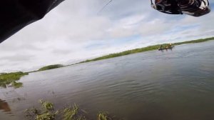 Много ЧАВЫЧИ на Камчатке! Рыбалка на чавычу! Королевский лосось на реке Большая! King salmon fishin