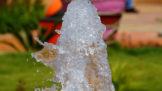 Photography with Canon PowerShot SX40 HS World Photography Day смотреть онлайн