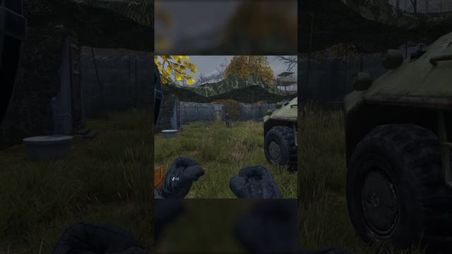 Конфликтная ситуация в DayZ Stalker