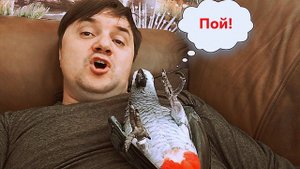 ✅СПЕЛ СВОЕМУ ПОПУГАЮ и ПОЖАЛЕЛ ОДИН ДЕНЬ ИЗ ЖИЗНИ ГОВОРЯЩЕГО ПОПУГАЯ ЖАКО ПЕТРУНЯ